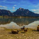 Forggensee bei Füssen (Allgäu)