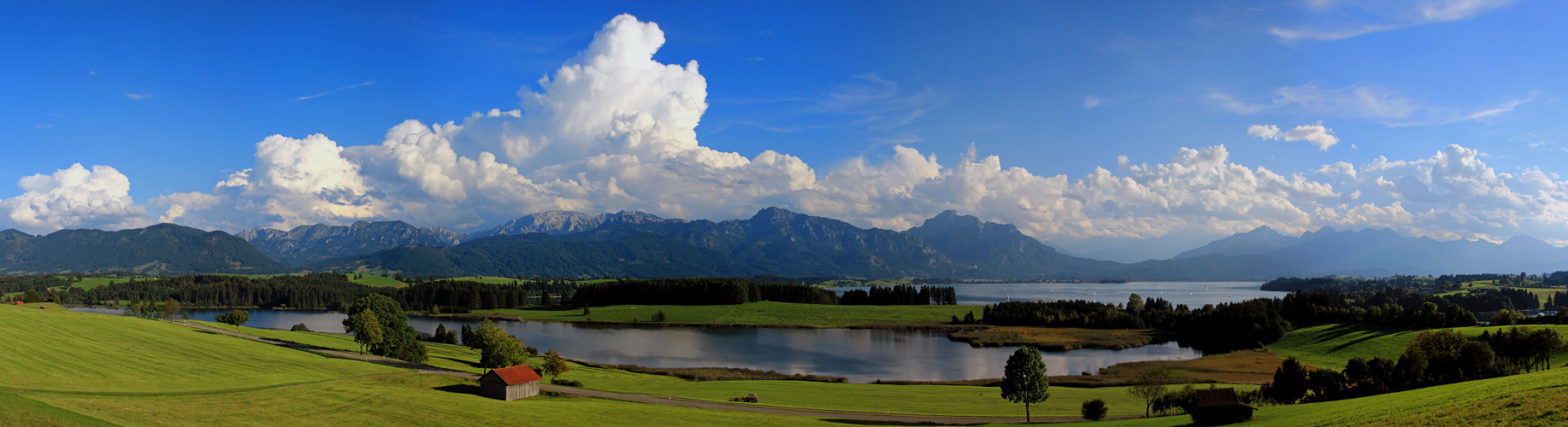 Forggensee