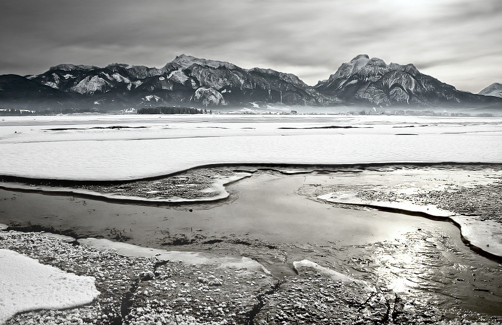 Forggensee