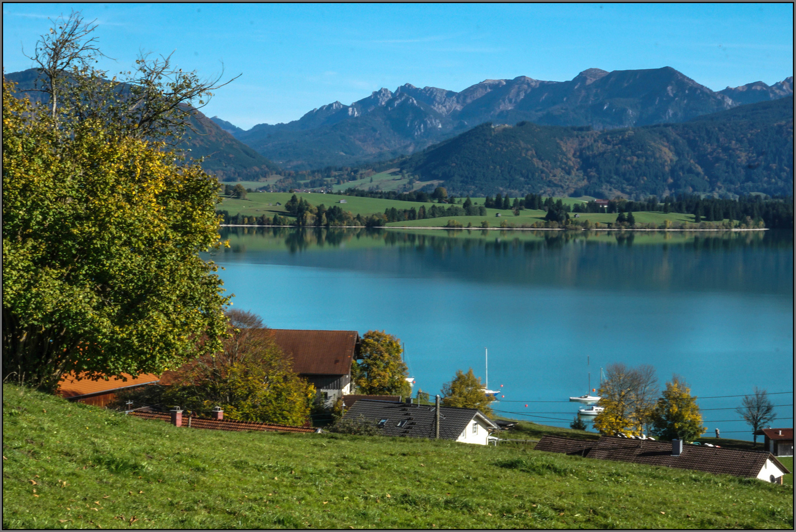 Forggensee