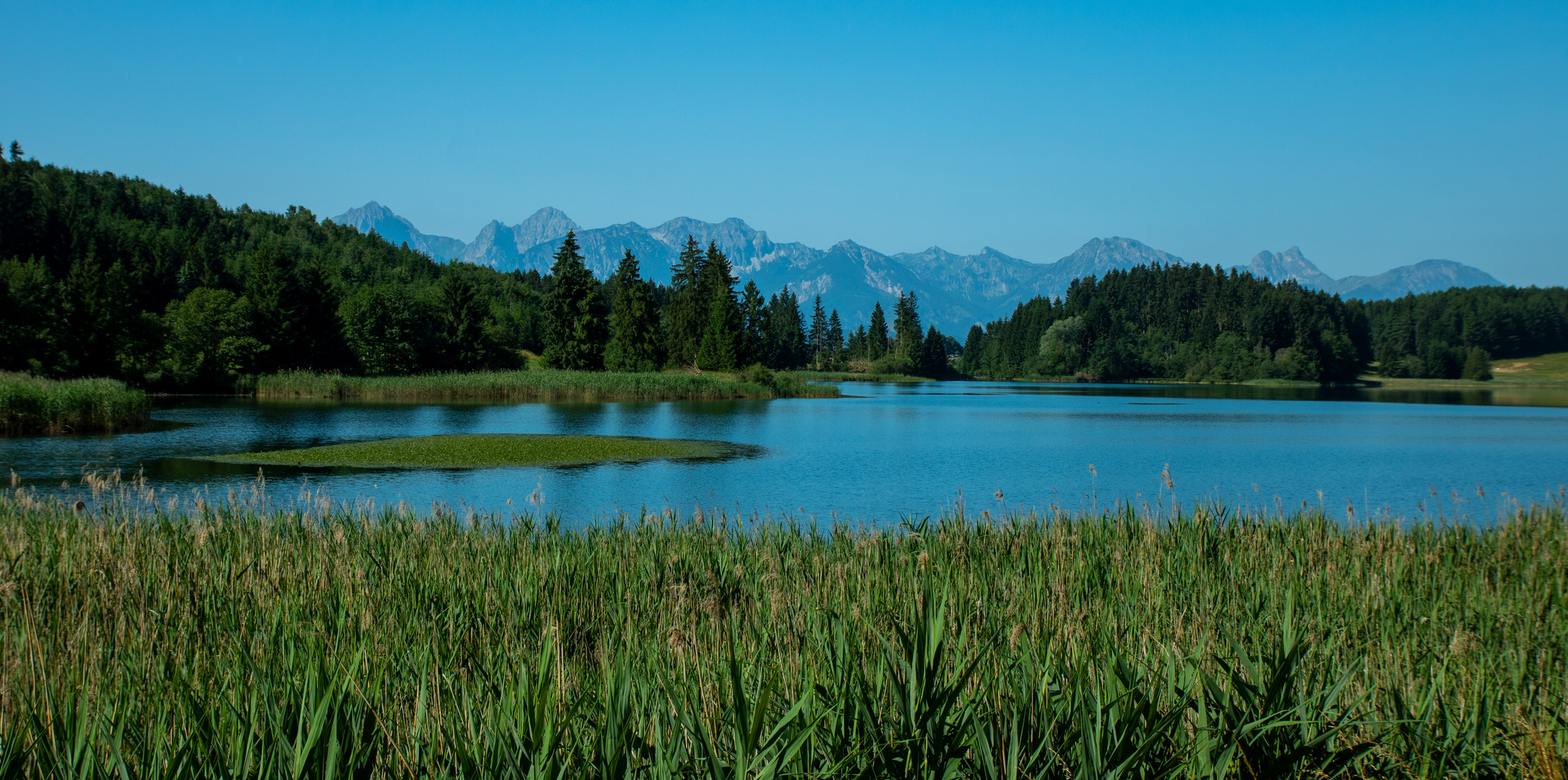 Forggensee im Allgäu