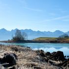 Forggensee im Dezember