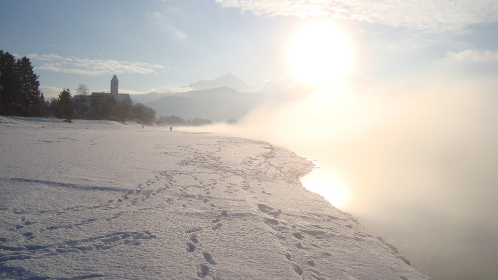 Forggensee im Winter