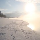 Forggensee im Winter