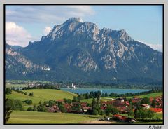 Forggensee mit Säuling