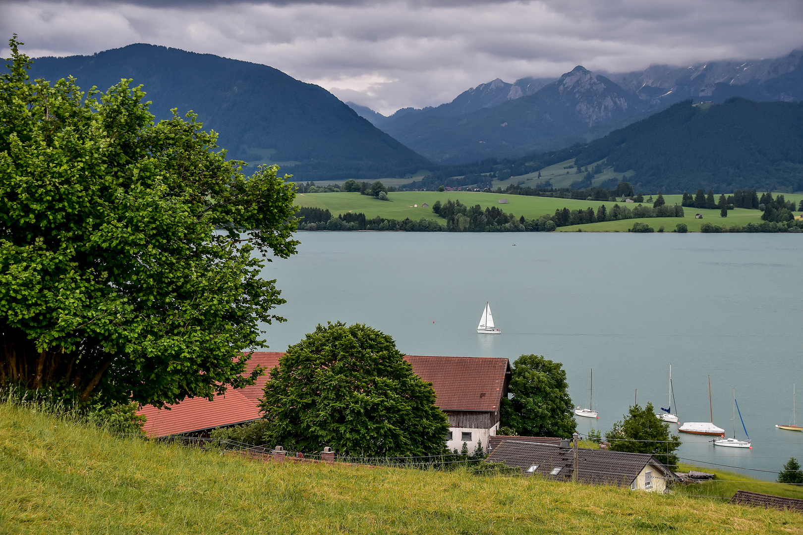 Forggensee / Ostallgäu