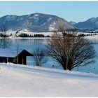 Forggensee-Panorama