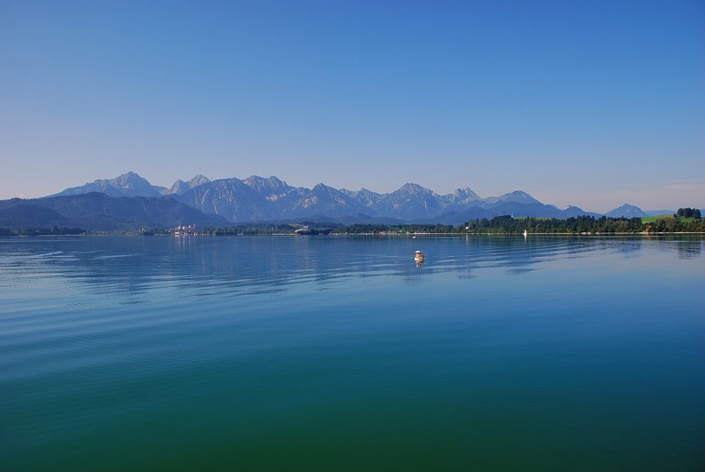 Forggensee-Panorama