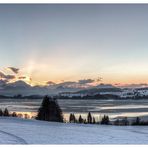 Forggensee-Panorama