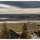 Forggensee-Panorama (von oben)