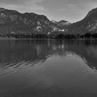 Forggensee  s/w