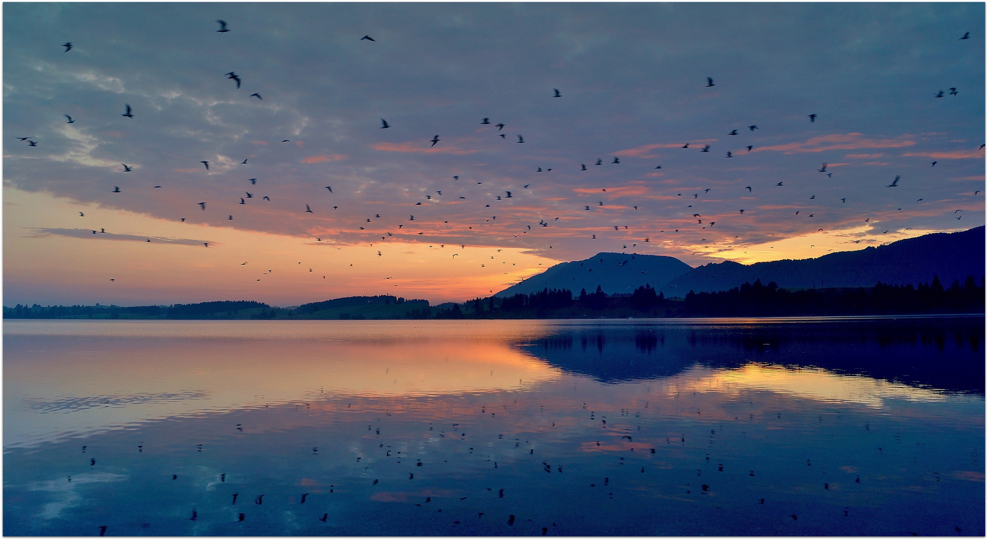 Forggensee vor Sonnenaufgang 2