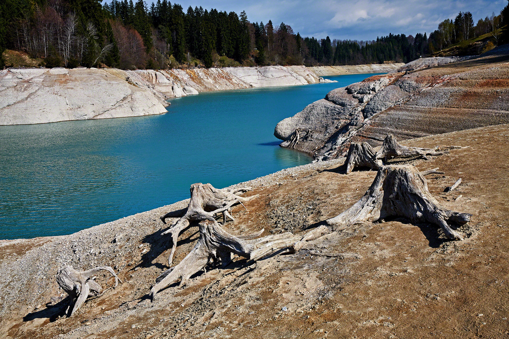 Forggy Canyon