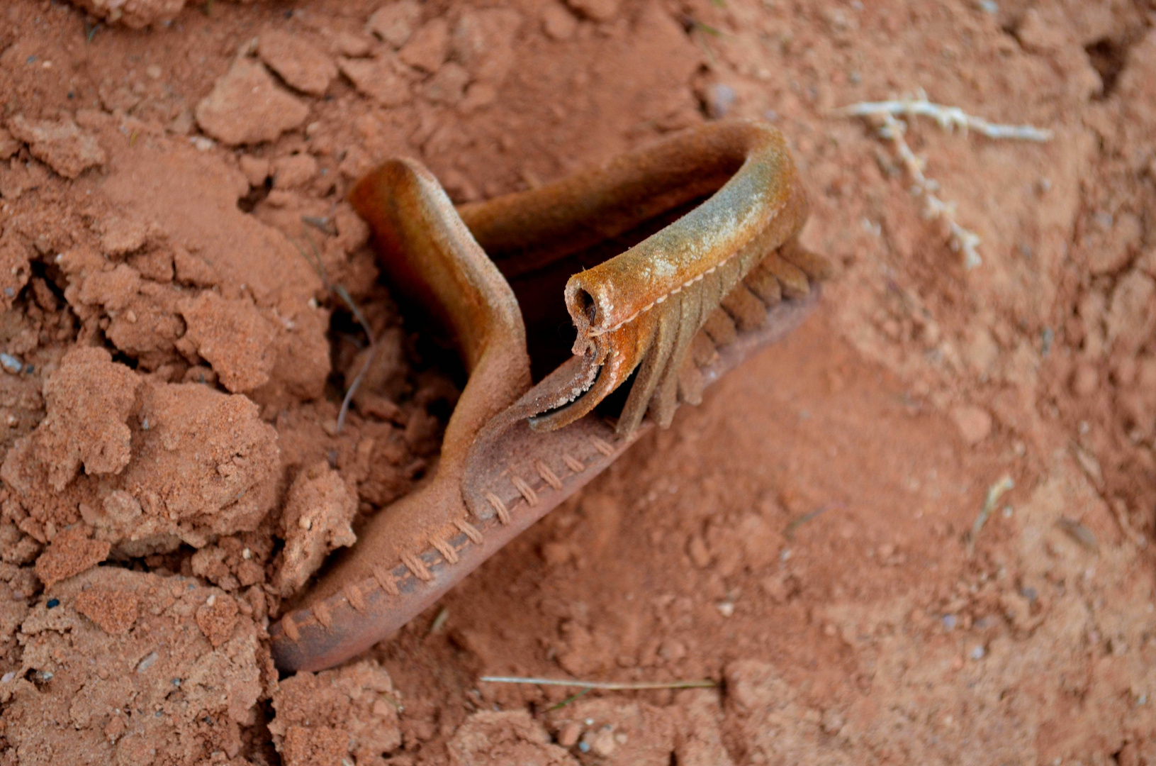 Forgotten Baby Moccasin