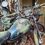 Forgotten Bike