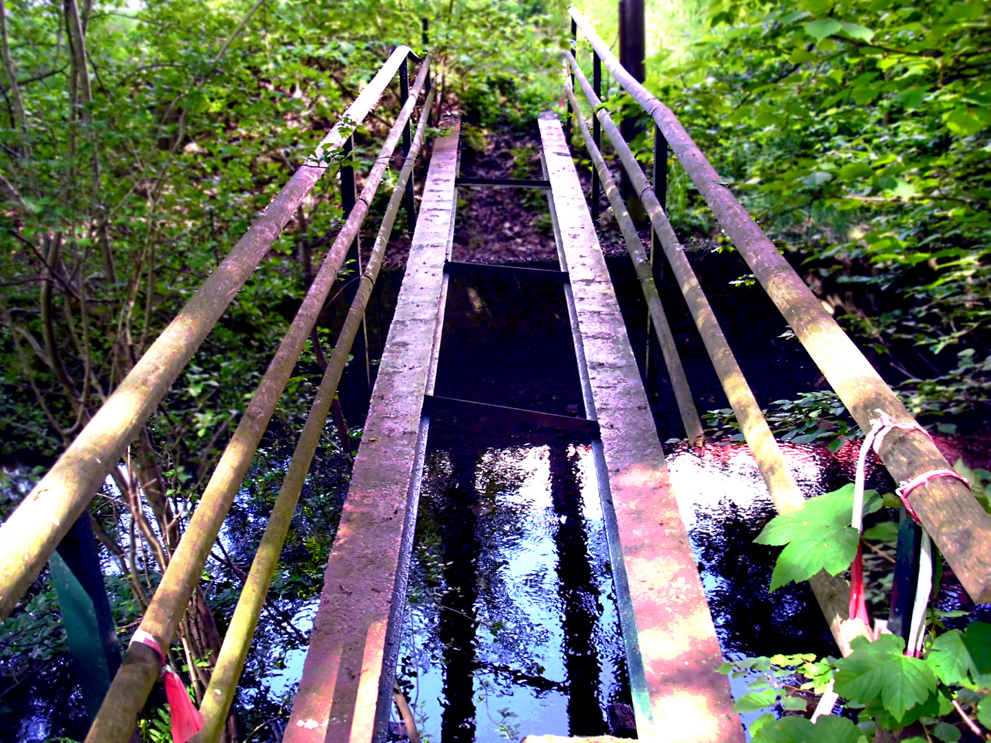 Forgotten Bridge
