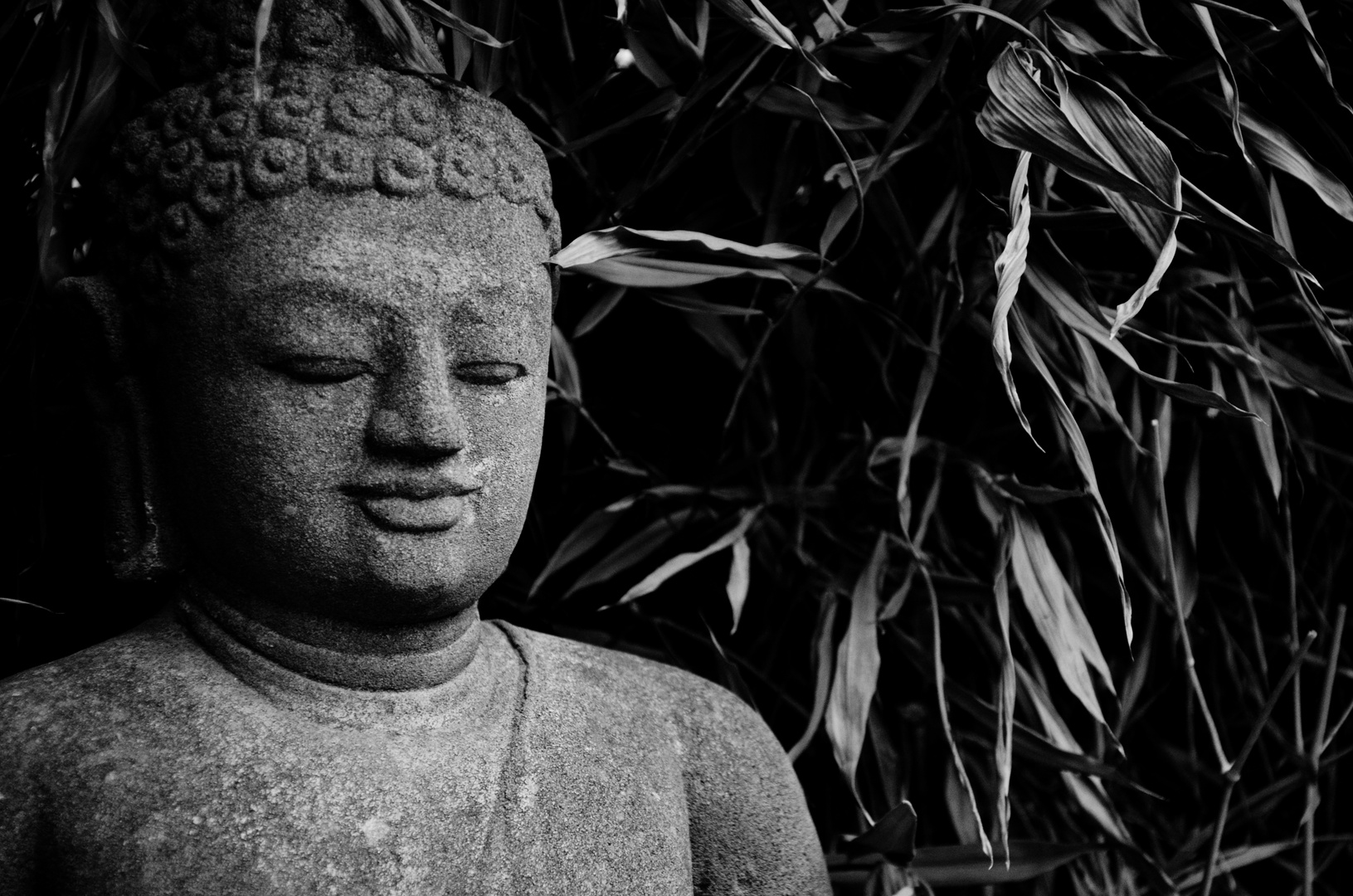 Forgotten Buddha