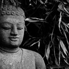 Forgotten Buddha