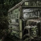 forgotten bus-----