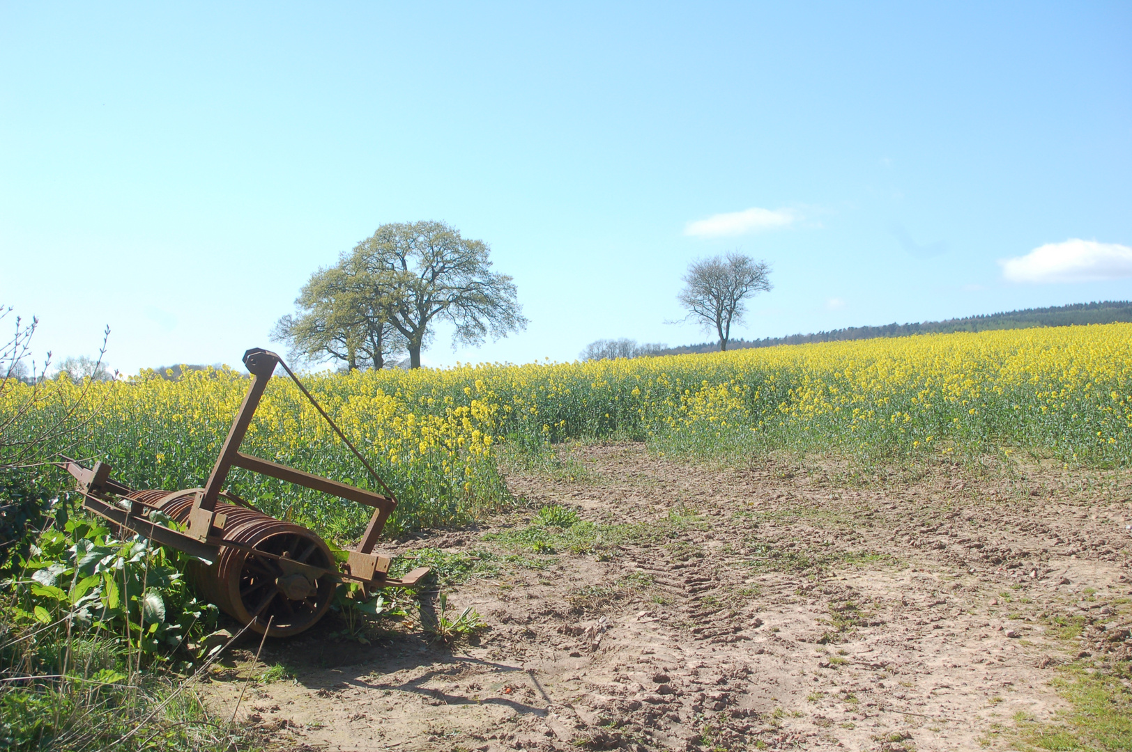 Forgotten Fields