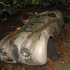 forgotten Jag I