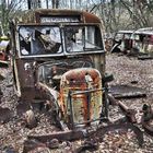 Forgotten Old Bus Wreck