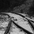 Forgotten rails