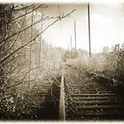 Forgotten Railway