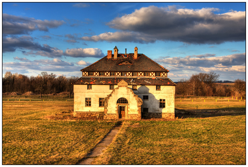 forgotten ranch