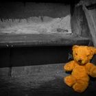 Forgotten Teddy