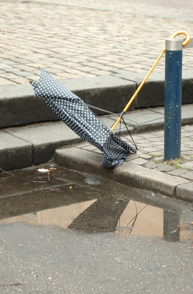 forgotten umbrella