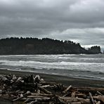 Forks La Push