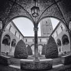 Forlì - Chiostro della Basilica di San Mercuriale