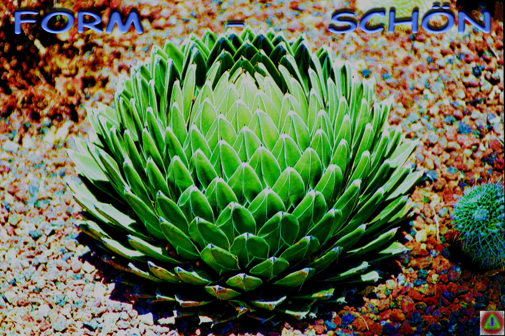 FORM-SCHÖN