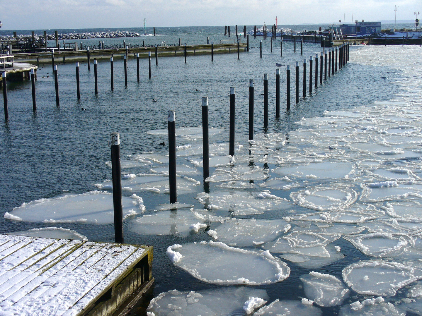 Formate in Eis und Schnee