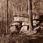 Formation am Großen Waldstein/Fichtelgebirge