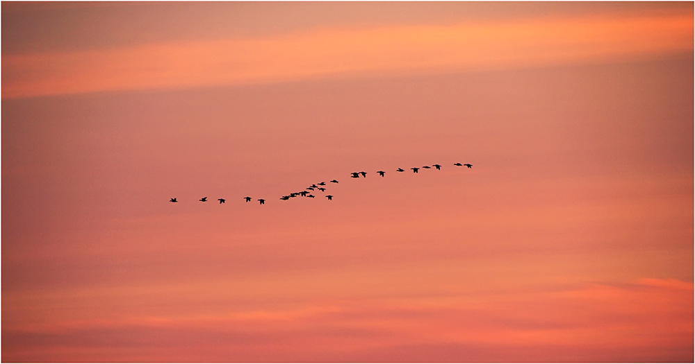 Formation nach Sonnenuntergang