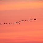 Formation nach Sonnenuntergang