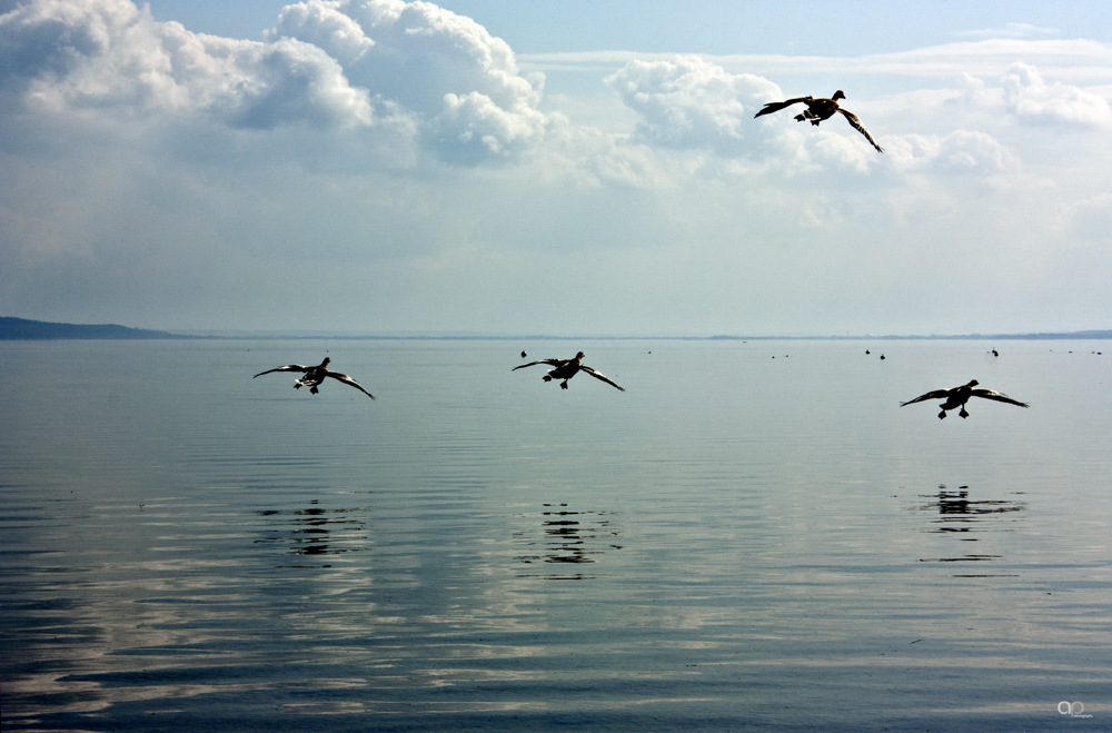 Formations-Landeanflug