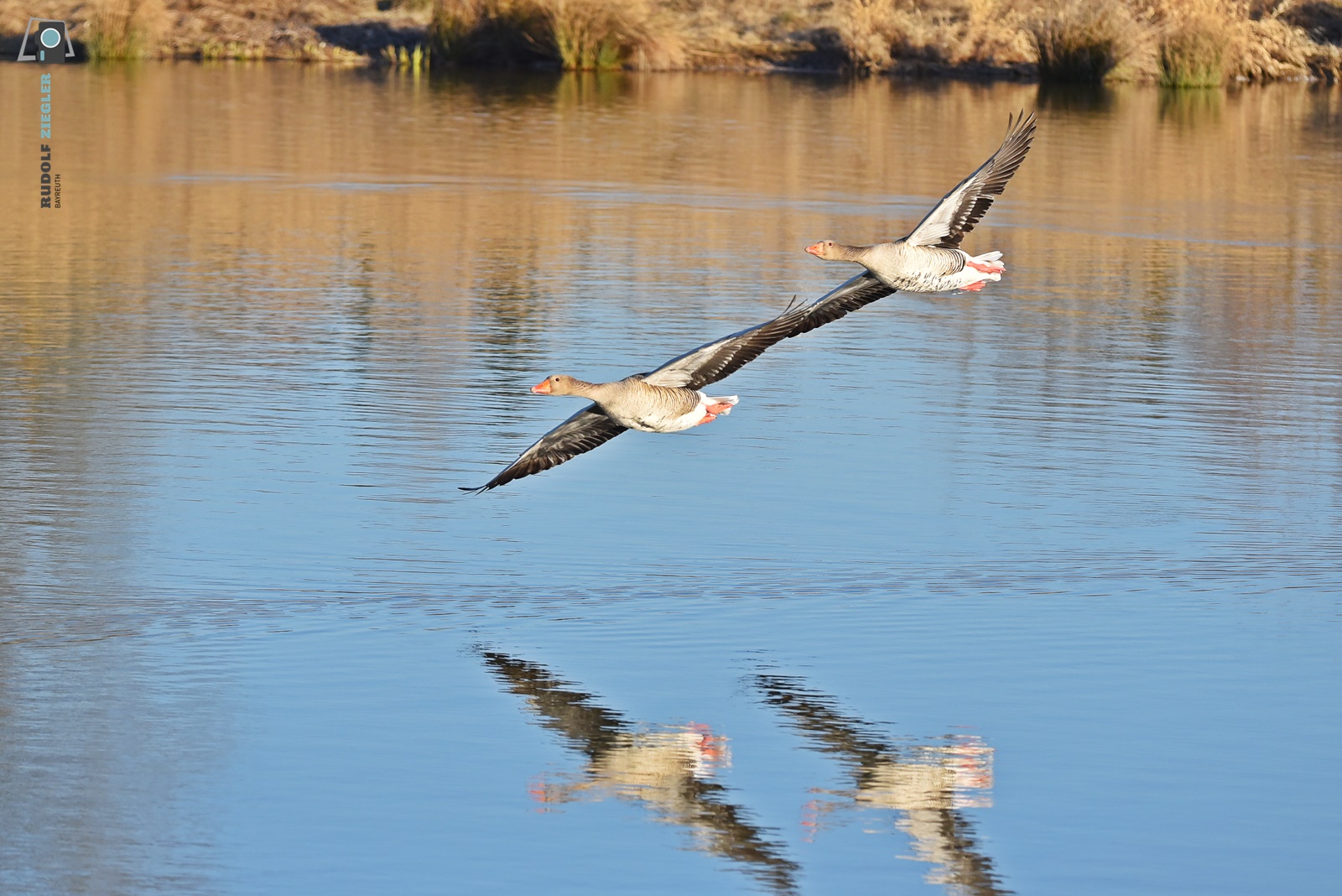 Formationsflug