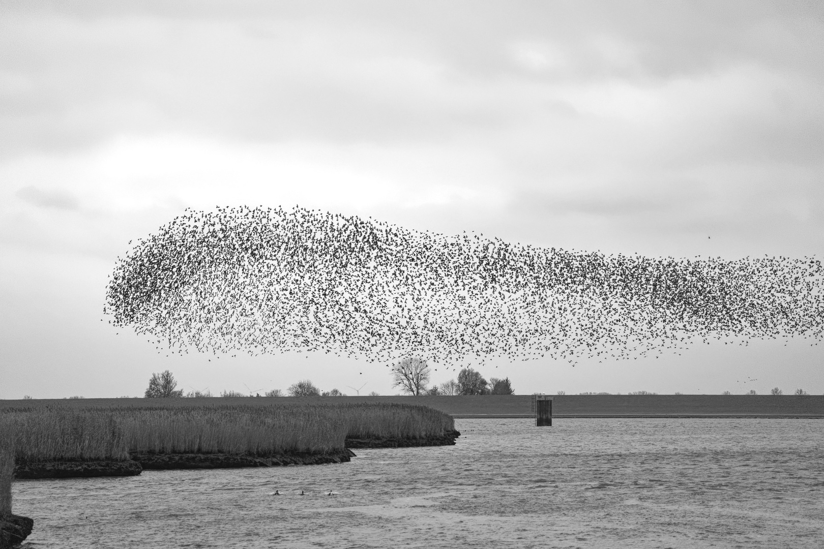 Formationsflug der Sare....