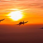 Formationsflug in den Sonnenuntergang