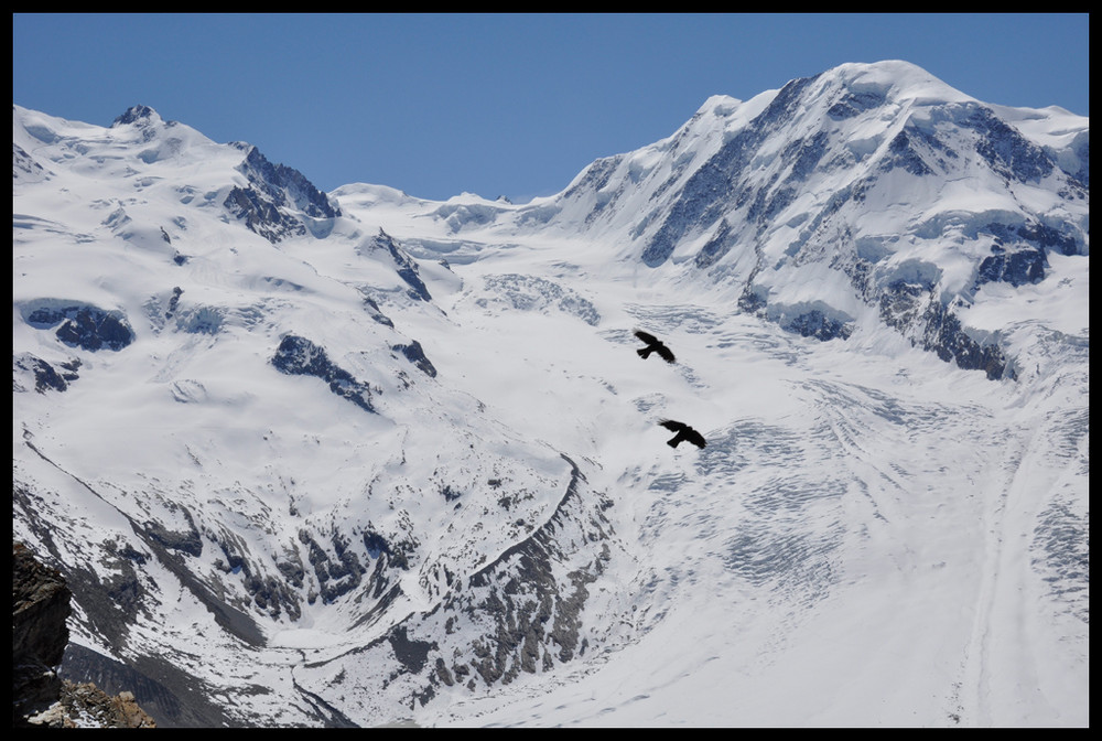 Formationsflug über den Gletscher