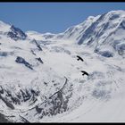 Formationsflug über den Gletscher