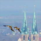 Formationsflug über Quedlinburg