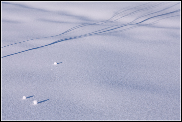 Forme e ombre sulla neve