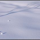 Forme e ombre sulla neve