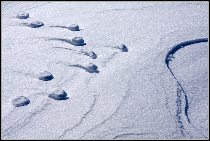 Forme sulla neve