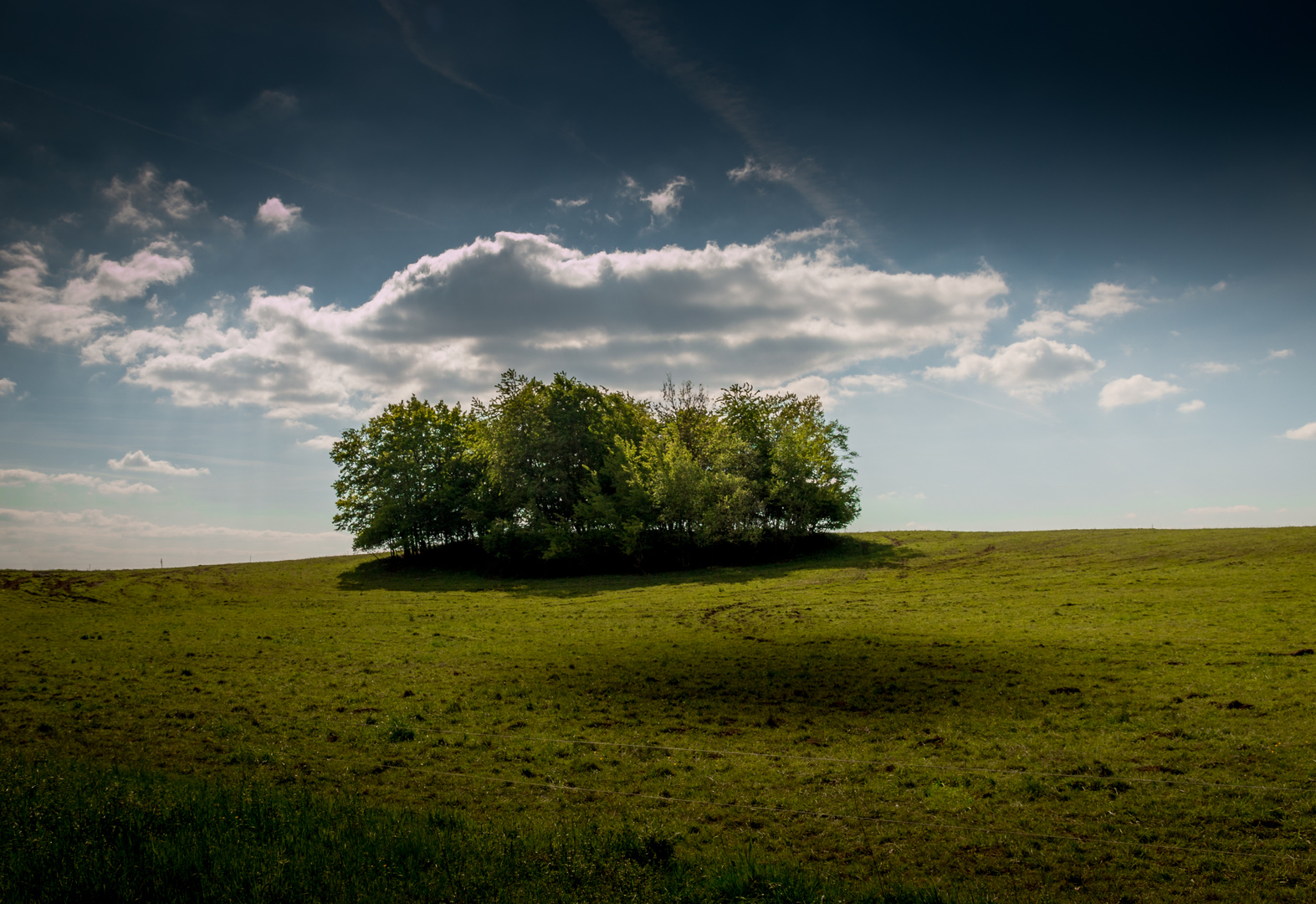 Formen der Natur