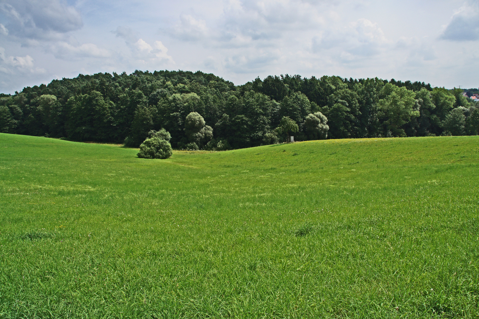 Formen der Natur